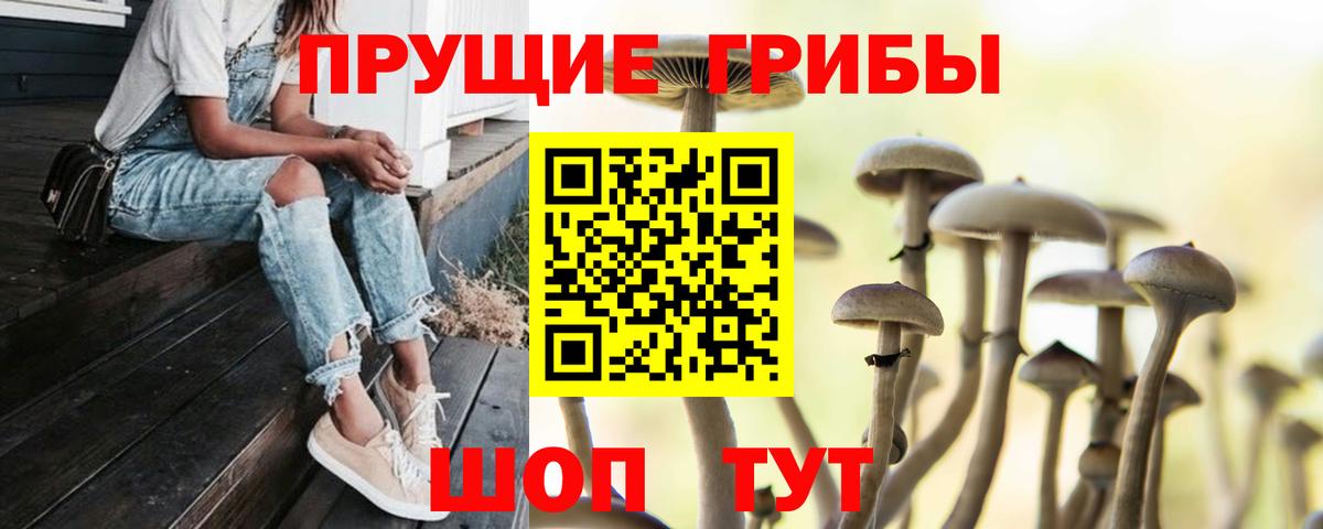 как найти закладки  Псилоцибиновые грибы мицелий  Вход с VPN  Благодарный 